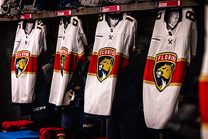Panthers bruins