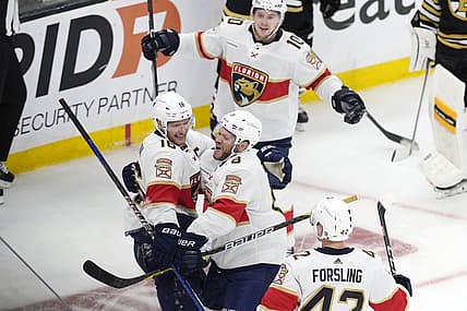 Panthers bruins