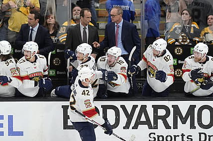 Florida panthers