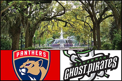 Florida panthers