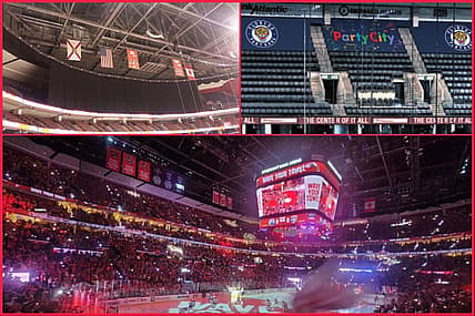 Florida panthers