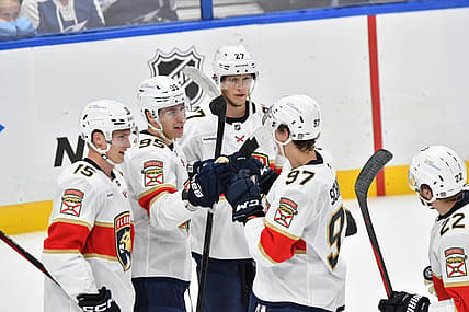 Florida panthers