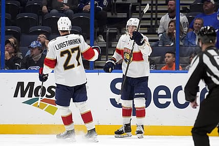 Florida panthers
