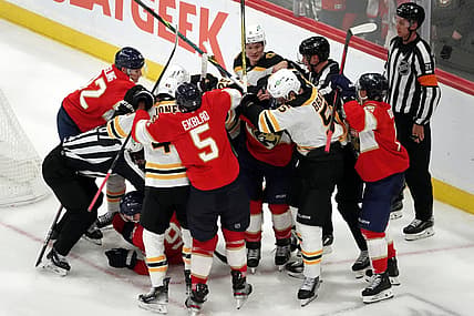 Panthers bruins