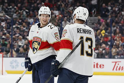 Florida panthers