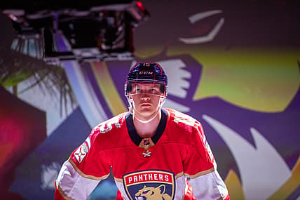 Florida panthers