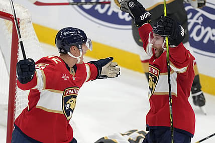 Florida panthers