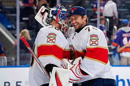 Florida panthers