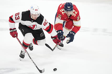 Florida panthers