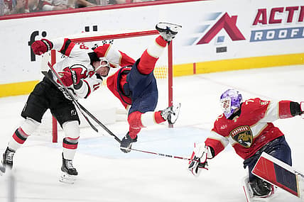Florida panthers