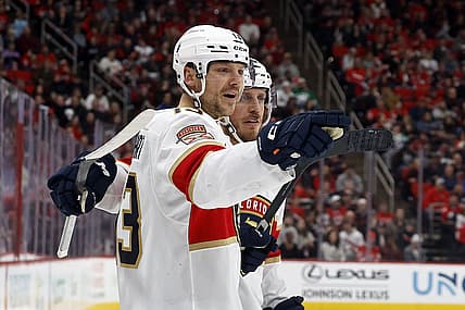 Florida panthers