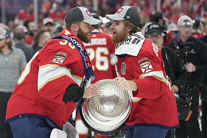Florida panthers