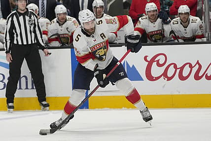 Florida panthers