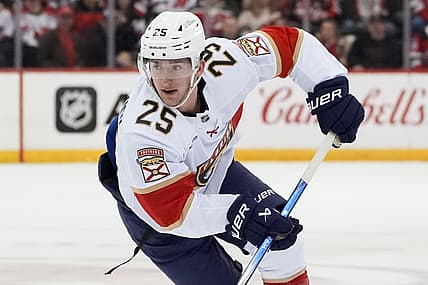 Florida panthers