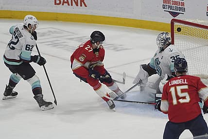 Florida panthers