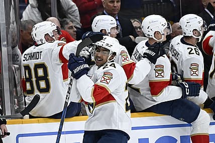 Florida panthers