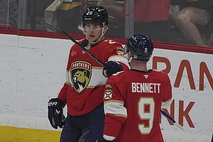 Florida panthers