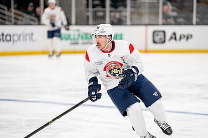 Marchand panthers