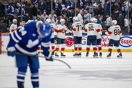 Florida panthers