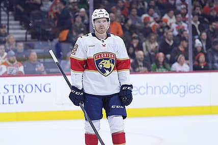Florida panthers