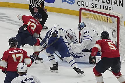Florida panthers