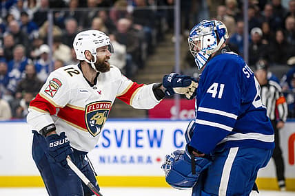 Florida panthers