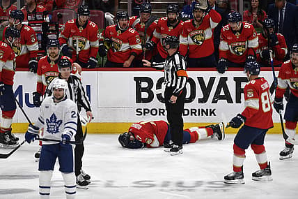 Florida panthers