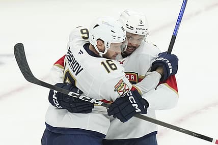 Florida panthers