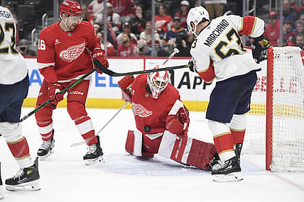 Florida panthers