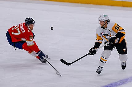 Florida panthers