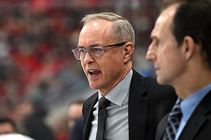 Florida panthers