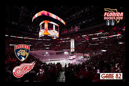 Panthers red wings