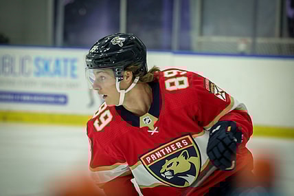 Florida panthers prospect tampa