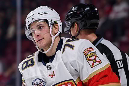 Florida panthers mamin khl