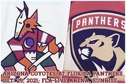 Arizona coyotes florida panthers