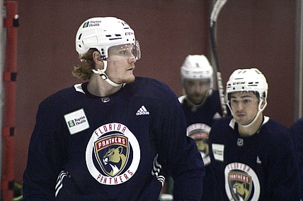 Florida panthers owen tippett