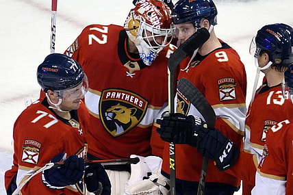 Minnesota wild florida panthers