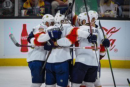 Panthers florida arizona coyotes