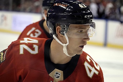 Louis florida panthers blues