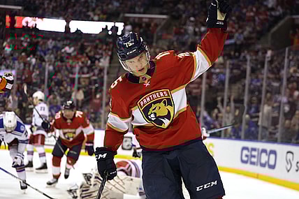 Florida panthers