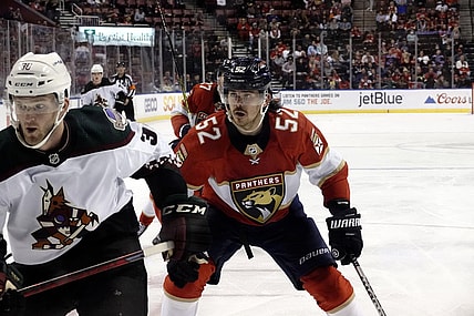 Panthers coyotes