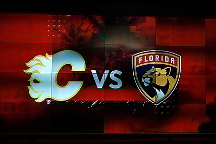 Florida Panthers flames