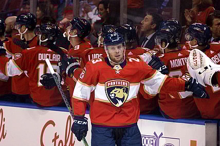 Florida panthers