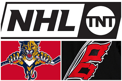 Florida panthers