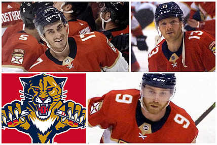Florida panthers