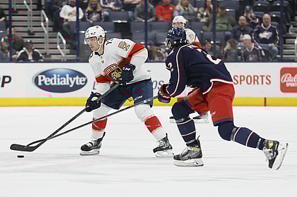 Florida panthers