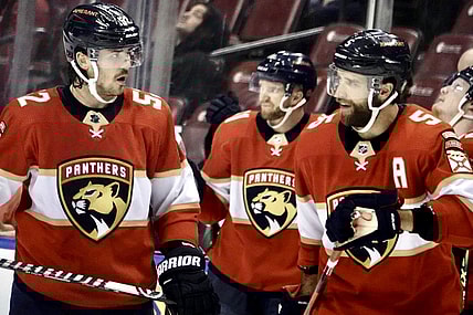 Florida panthers