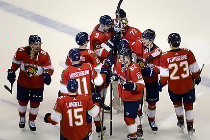 Florida panthers