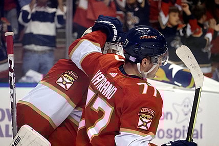 Florida panthers