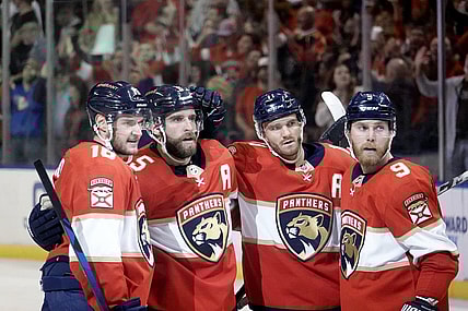 Florida panthers